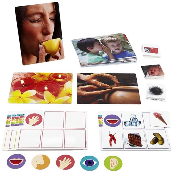 De vijf zintuigen, spel