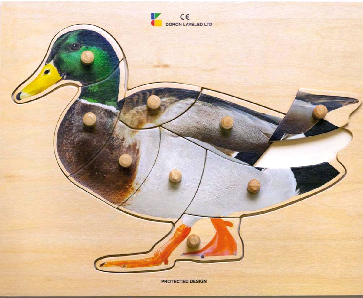 Houten puzzel, realistische eend
