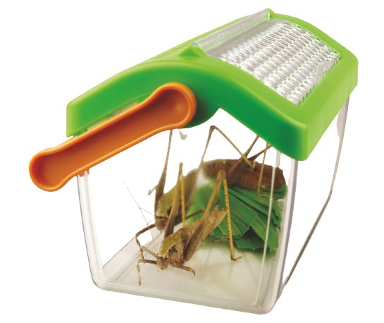 Insectenhuis