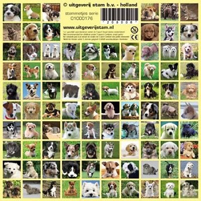 Puppy Reward Stickers