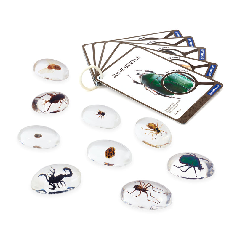 Guidecraft Doorzichtige ontdekstenen - Insecten - Kriebelbeestjes