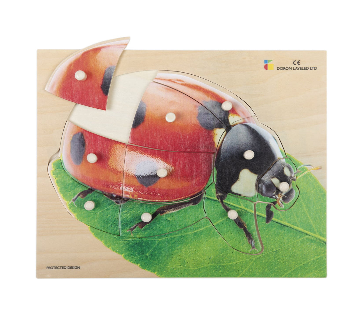 Houten puzzel, realistische lieveheersbeestje
