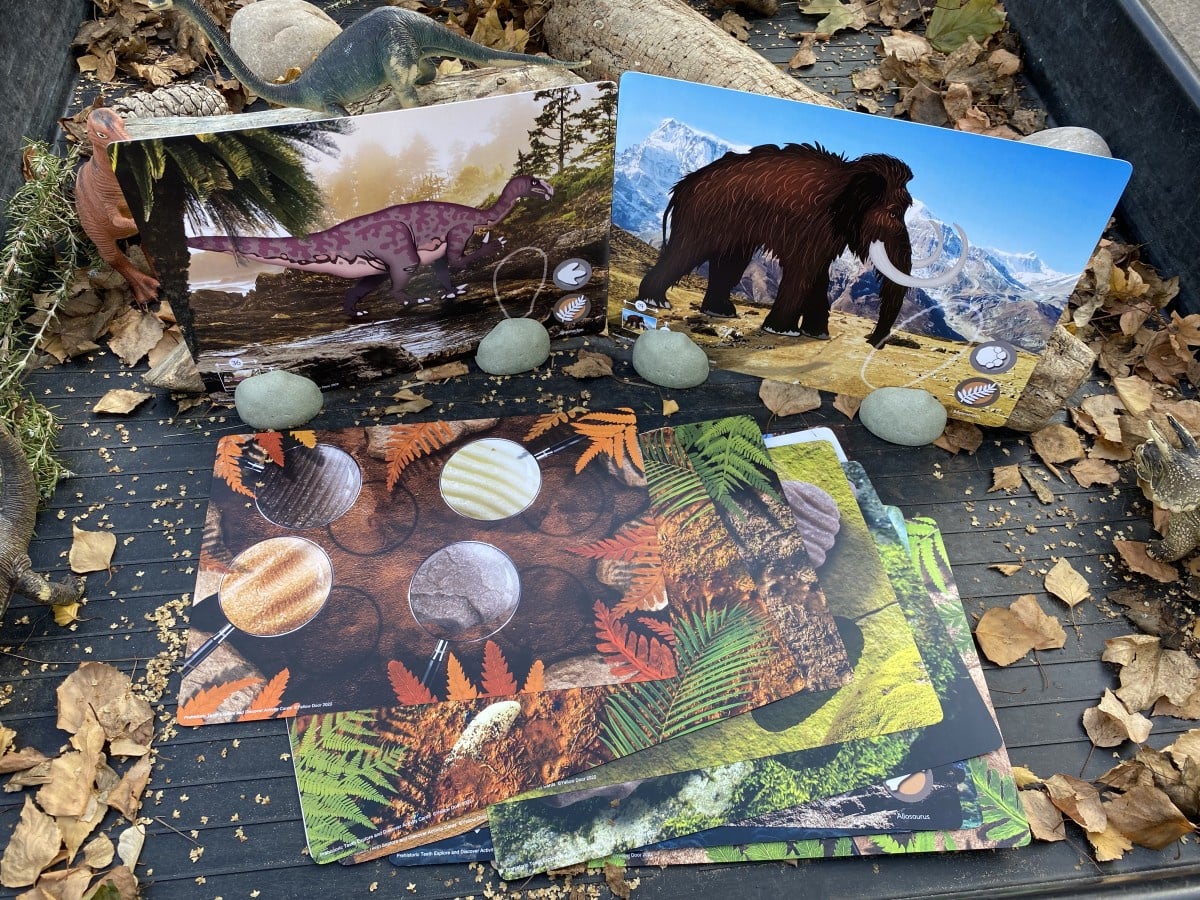 Activity cards prehistoric teeth