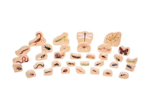 Tickit houten insecten blokken