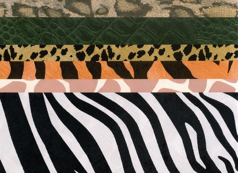 Safari paper