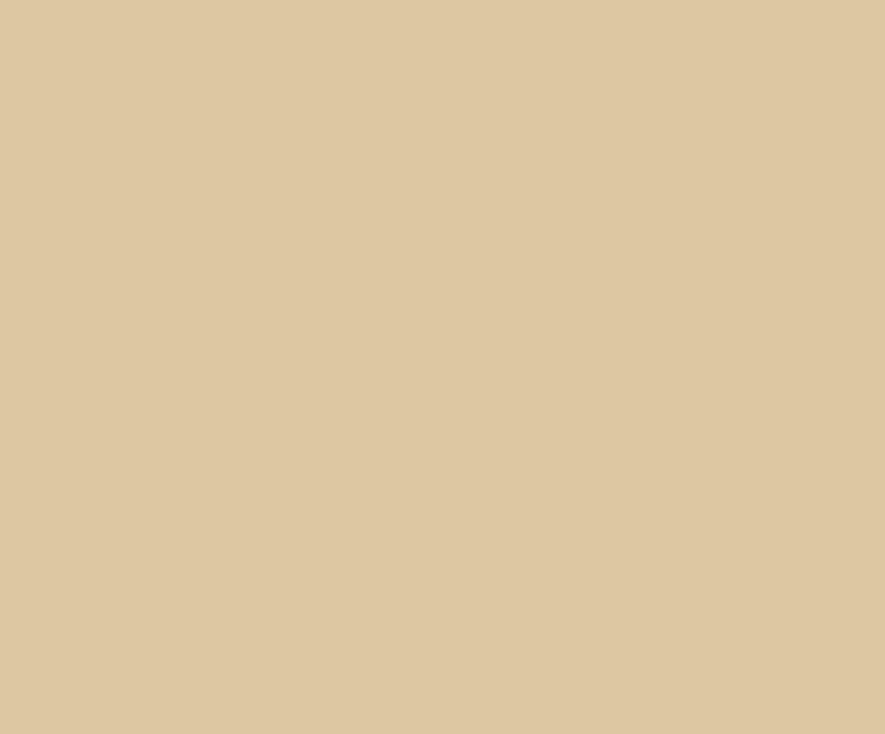Thin English cardboard 130 gr. 50 x 70 cm 100 sheets chamois