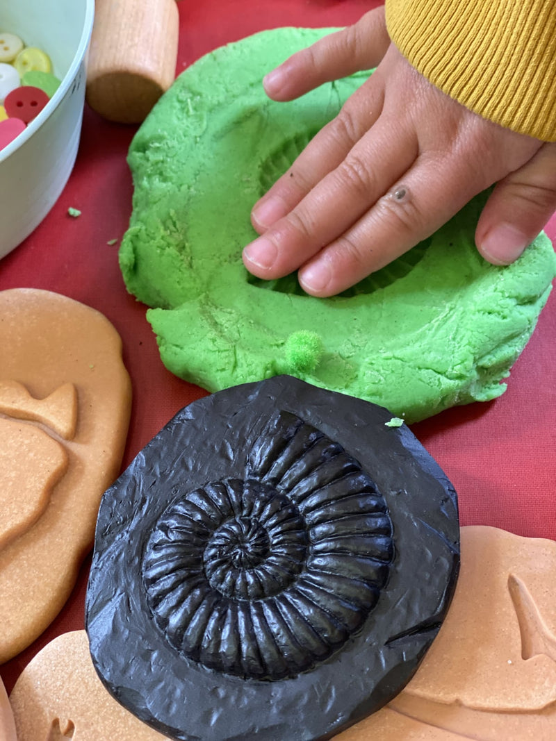 Fossil research kit