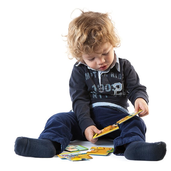 Set van 9 dierenpuzzels