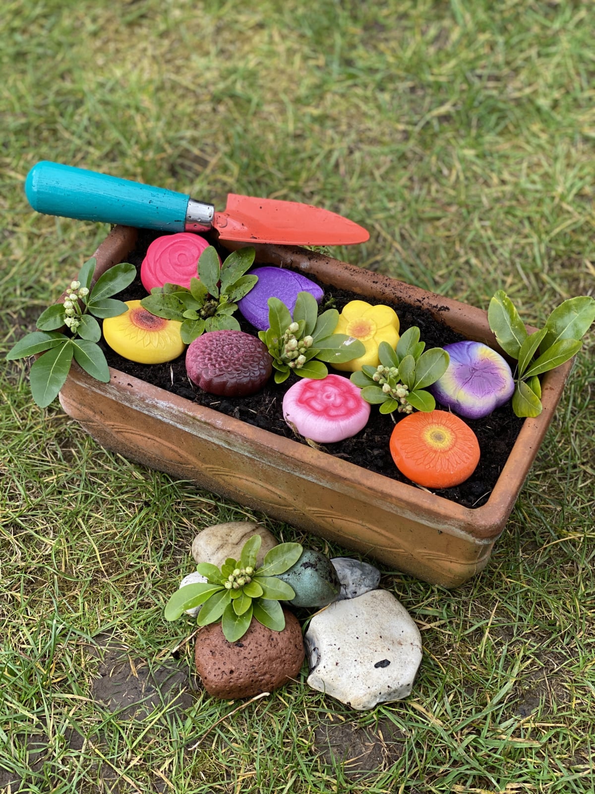 Sensorische speelstenen, bloemen