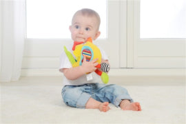 Activiteienknuffel Kip