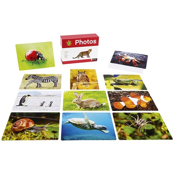 Fotobox dieren