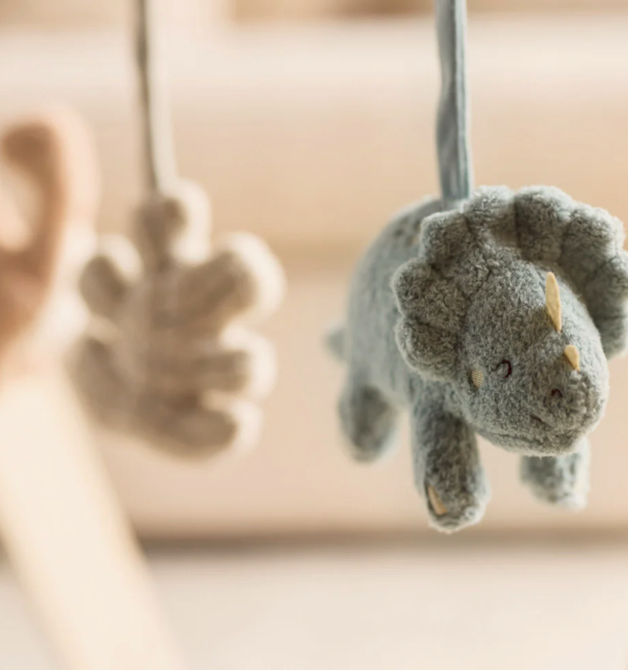 Wooden baby gym Roarsome