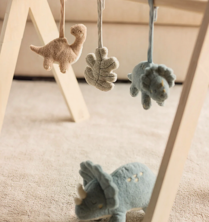 Houten babygym Roarsome