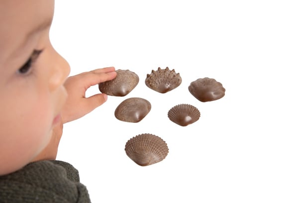 Eco-vriendelijke tastschelpen
