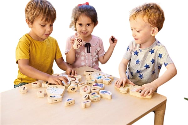 Tickit wooden insect blocks