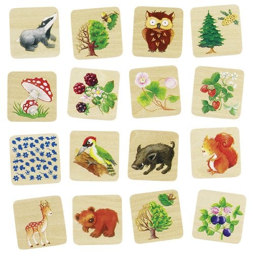 Memorie spel bosleven