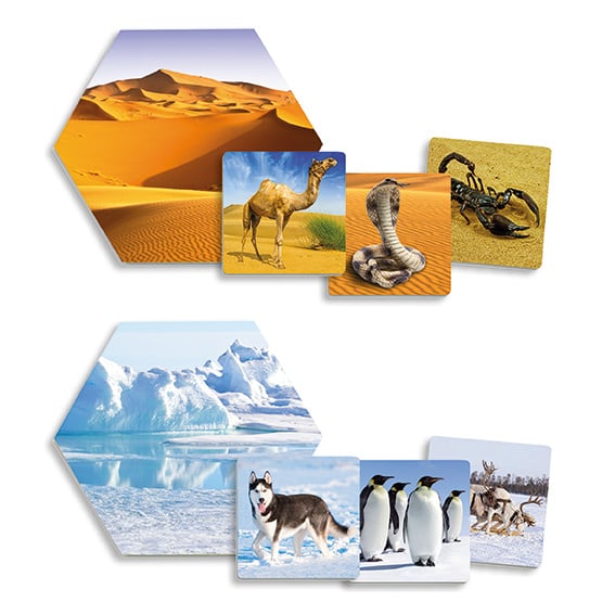 Waar leven de dieren?