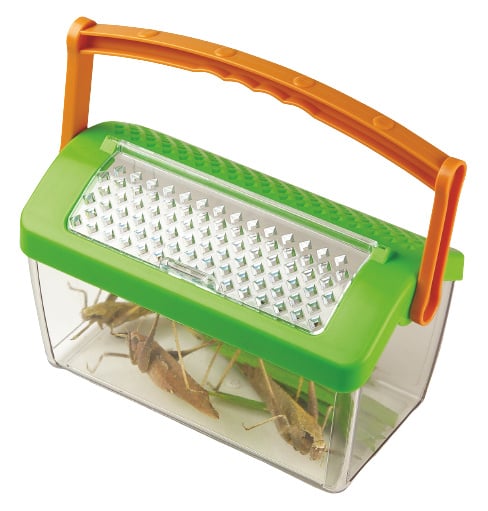 Insectenhuis