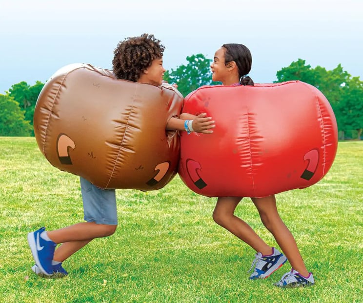 Inflatable Bumper Balls set of 2