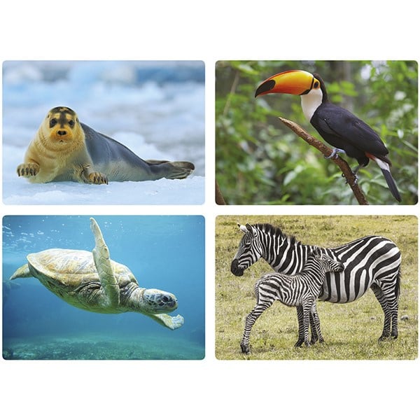 Photo booth animals