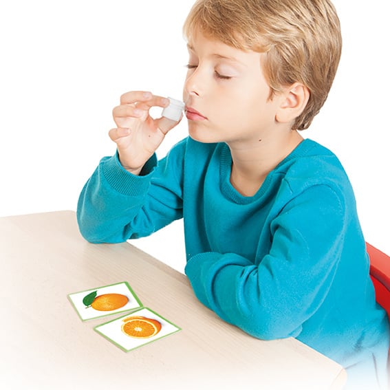 Geur memorie, reukzin fruit en hun aroma’s