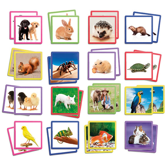 Maxi Memory Pets