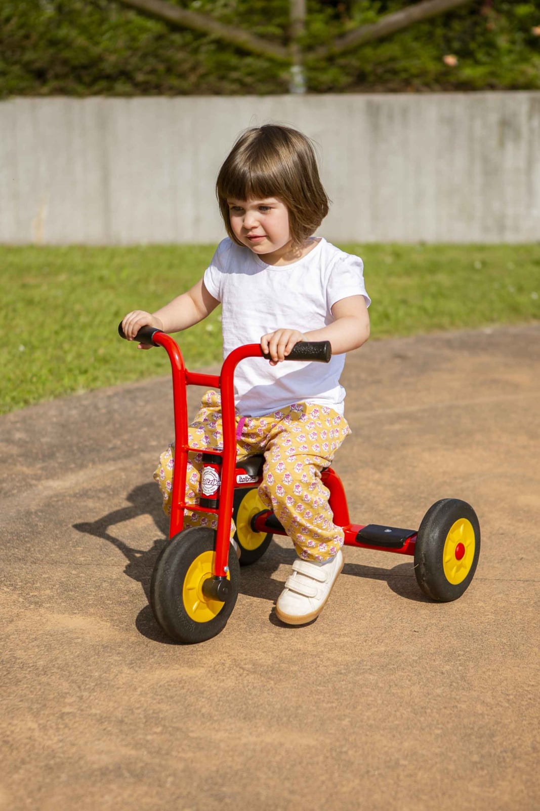 Driewieler Walker