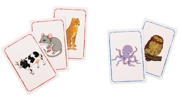 Animal Confusion