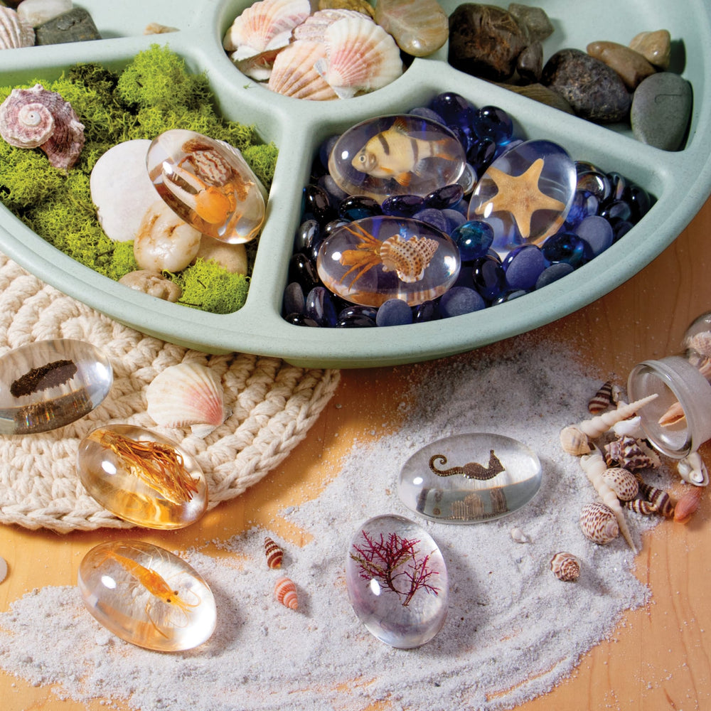 Guidecraft See-Through Discovery Stones - Sea Animals