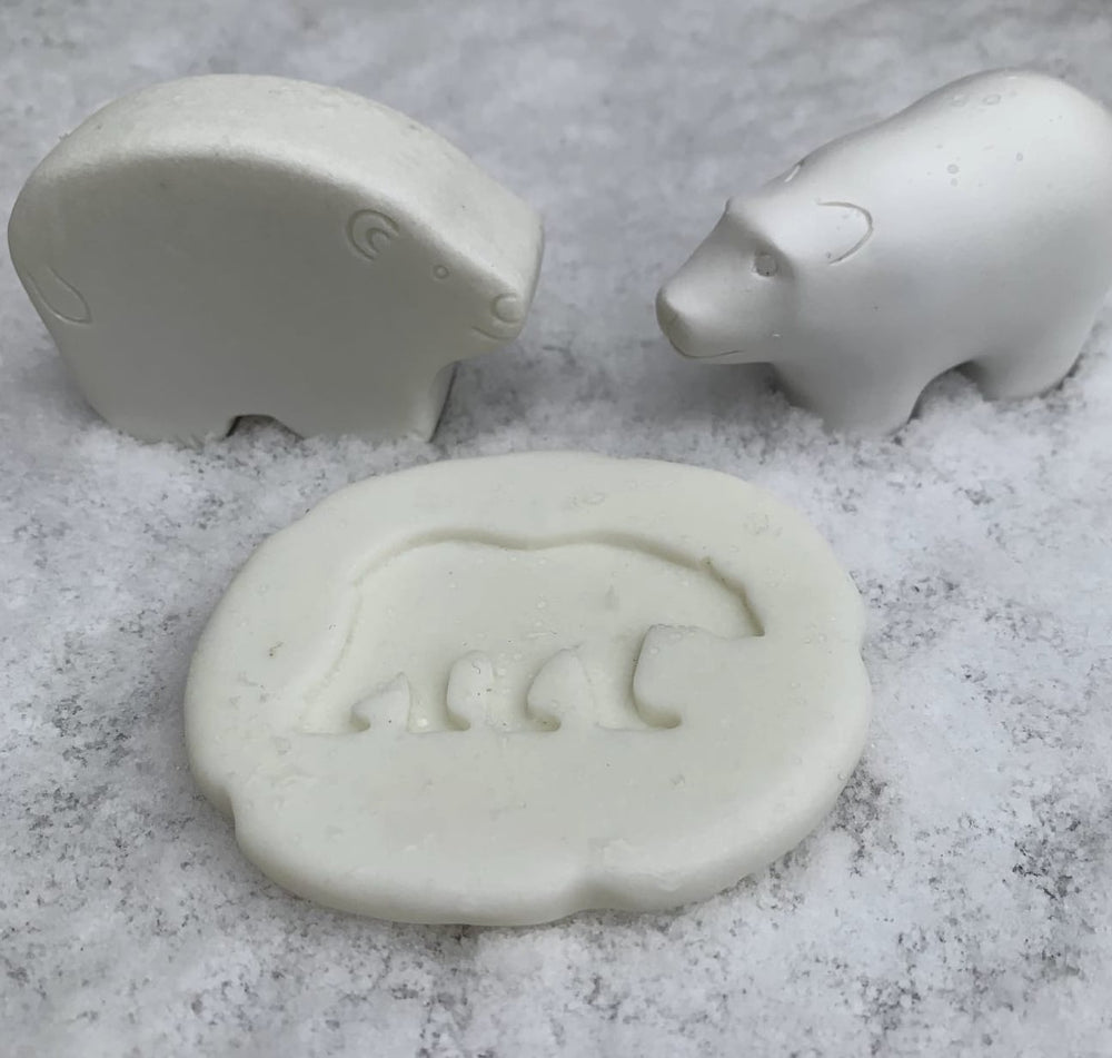 Polar Research Kit