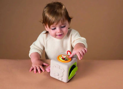 Peek & Play Silicone Cube
