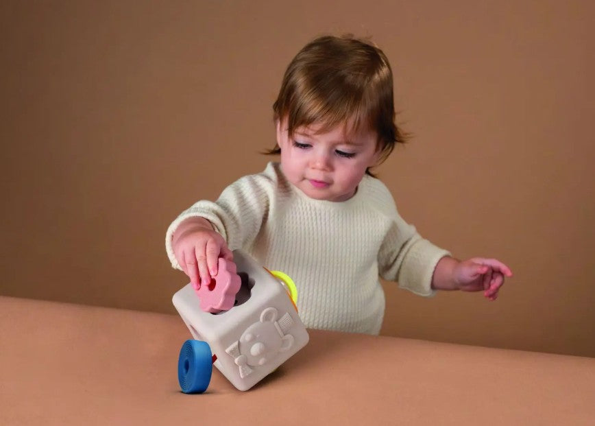 Peek & Play Silicone Cube