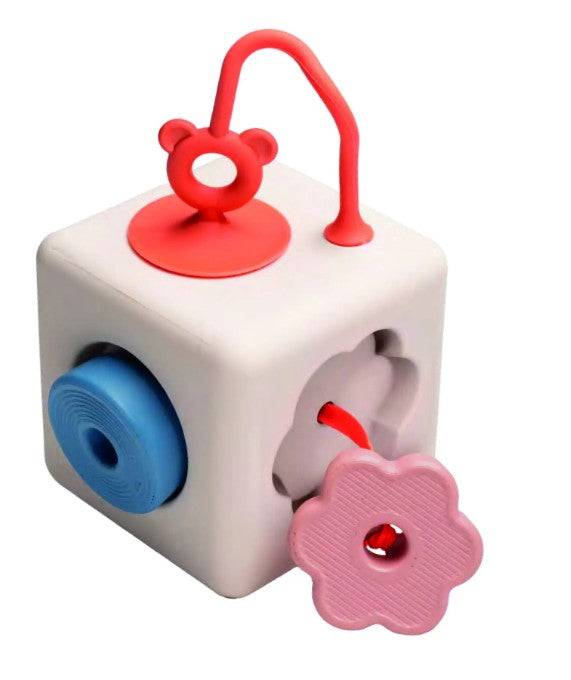 Peek & Play Silicone Cube