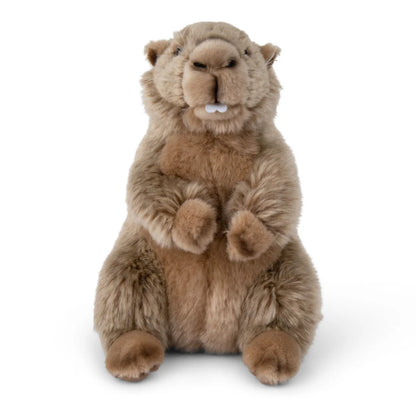 WWF Marmot, 23 cm