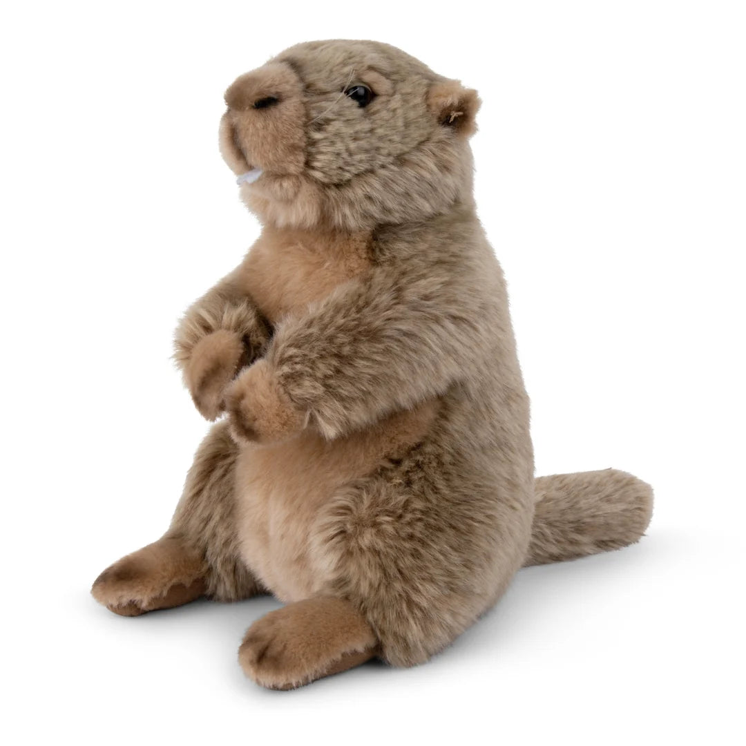 WWF Marmot, 23 cm