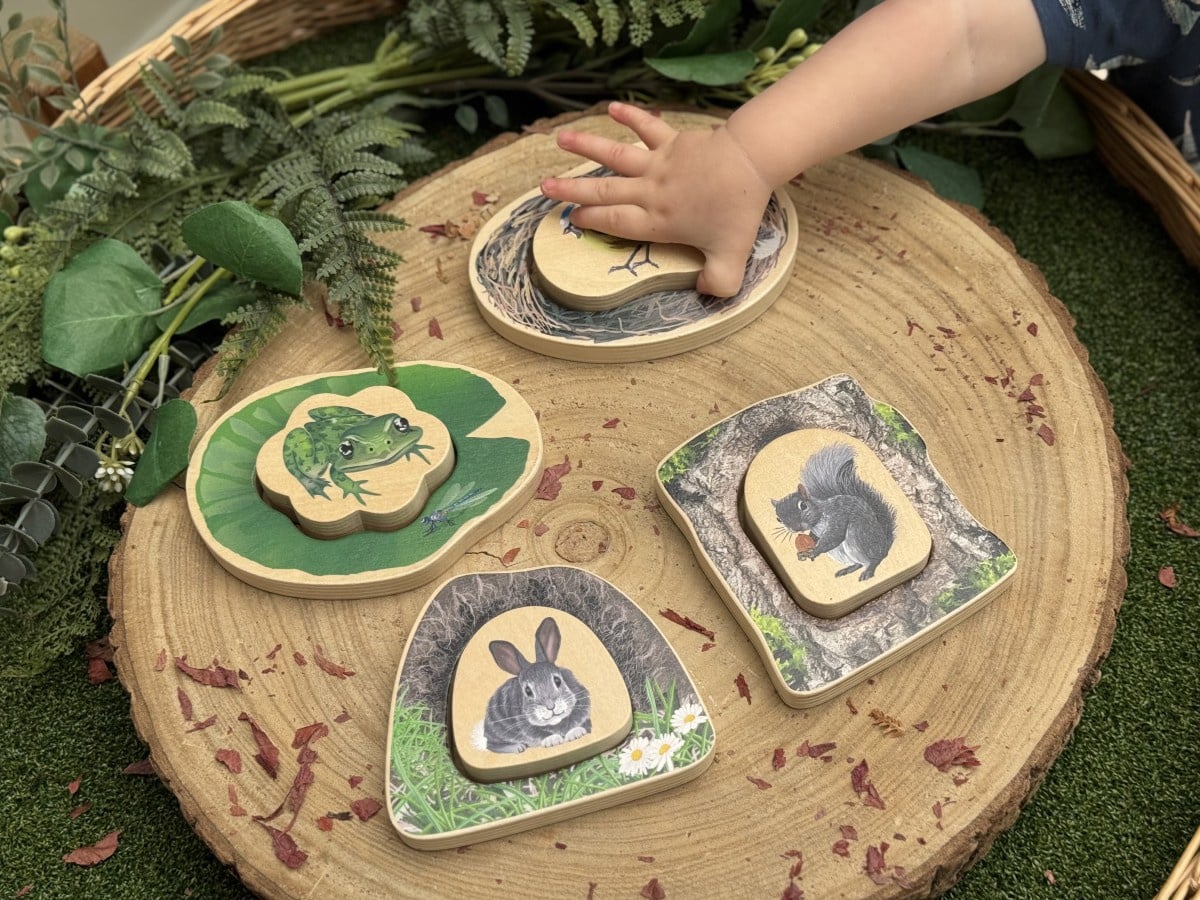 Puzzle: Which animals are hiding in the forest?