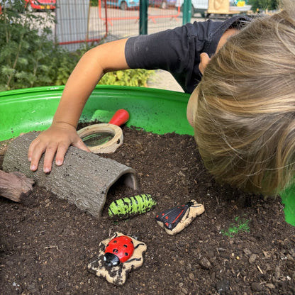Sensorische speelstenen, Insecten