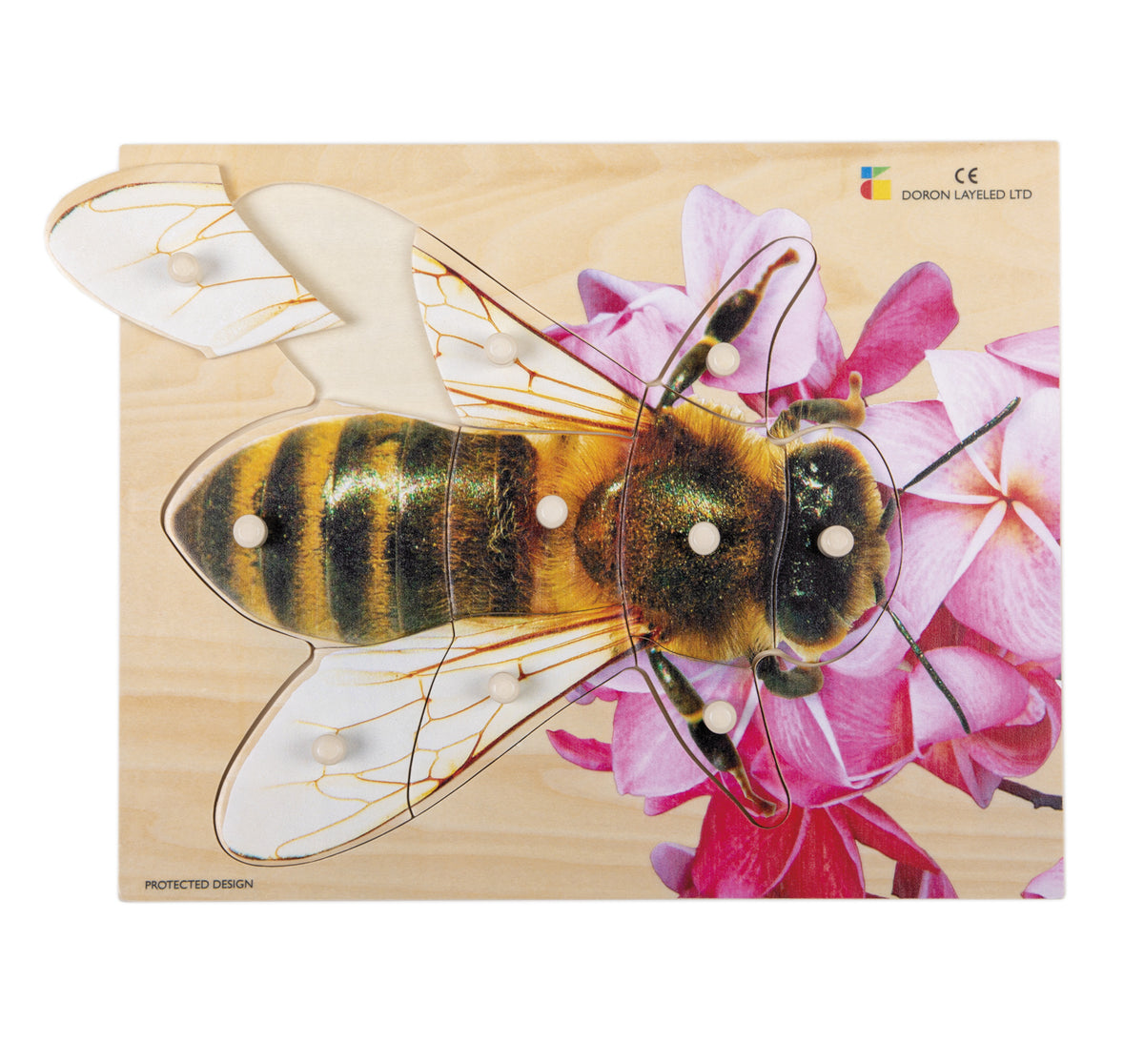 Houten puzzel, realistische bij