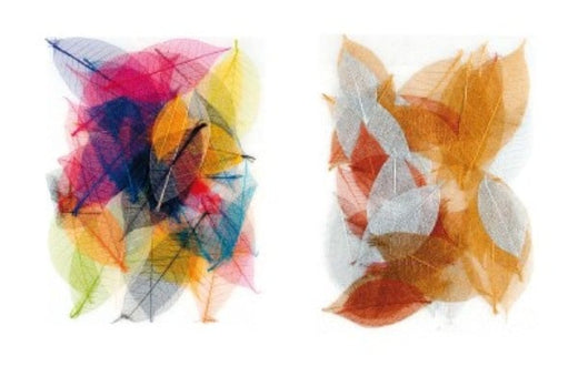 Colored leaves