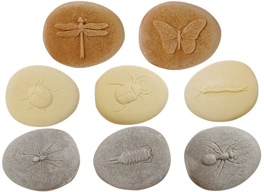 Insect Research Set