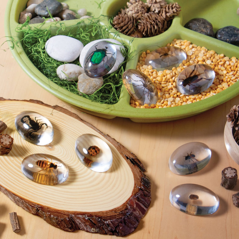 Guidecraft Translucent Discovery Stones - Insects - Creepy Crawlies
