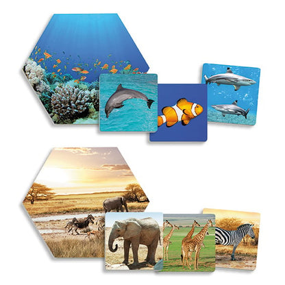 Where do the animals live?