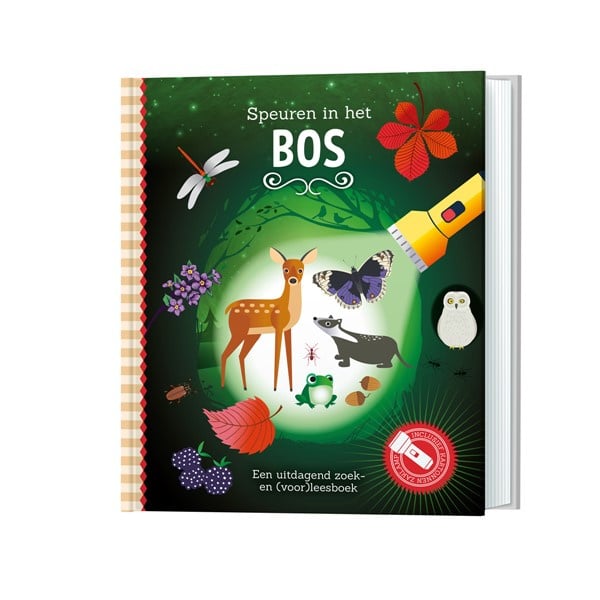 # Flashlight Book Scavenger Hunt in the Forest