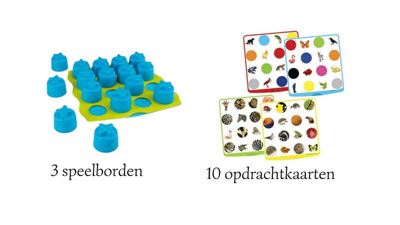 Quadrimemo memoryspel actiepakket Actieprijs!