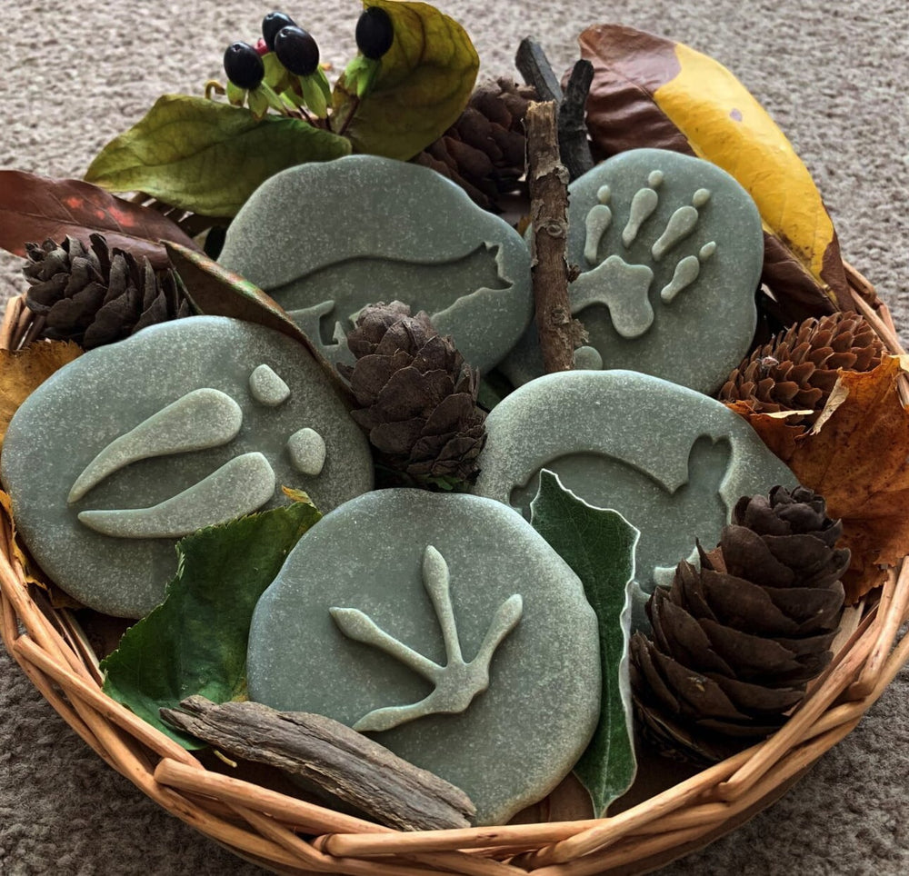 Forest Animals Research Set