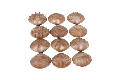 Eco-vriendelijke tastschelpen