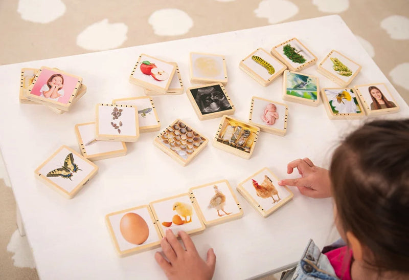 Tickit Wooden Life Cycle Tiles
