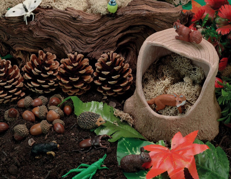 Tree stump