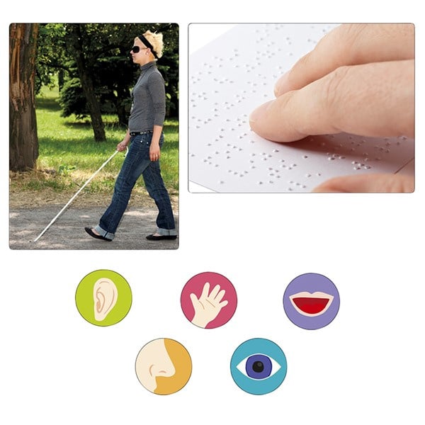 The Five Senses, game