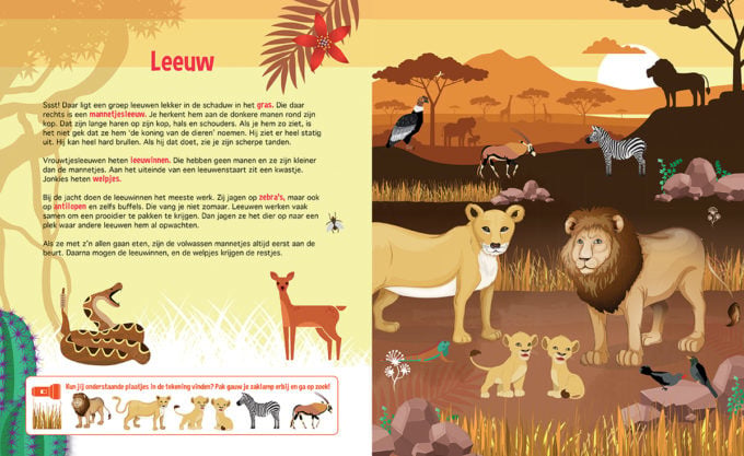 # Flashlight Book Search for Wild Animals